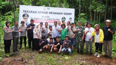 Jaga Kelestarian Kawasan Geopark, 10 Ribu Pohon Sukun Bakal Ditanam di Rammang-rammang