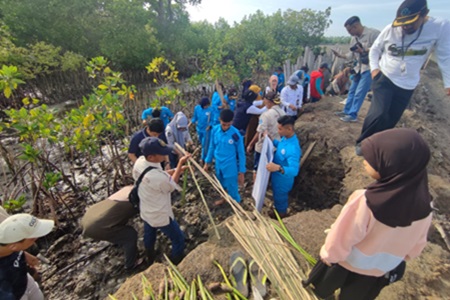 Lestarikan Pesisir di Hari Nusantara, DKP Sulsel Tanam 78 Ribu Mangrove di Bone