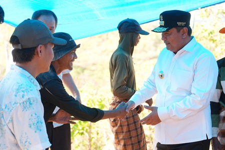 Pj Gubernur Bahtiar Ajak Petani Desa Mattiro Walie Tingkatkan Kesejahteraan dengan Budidaya Pisang