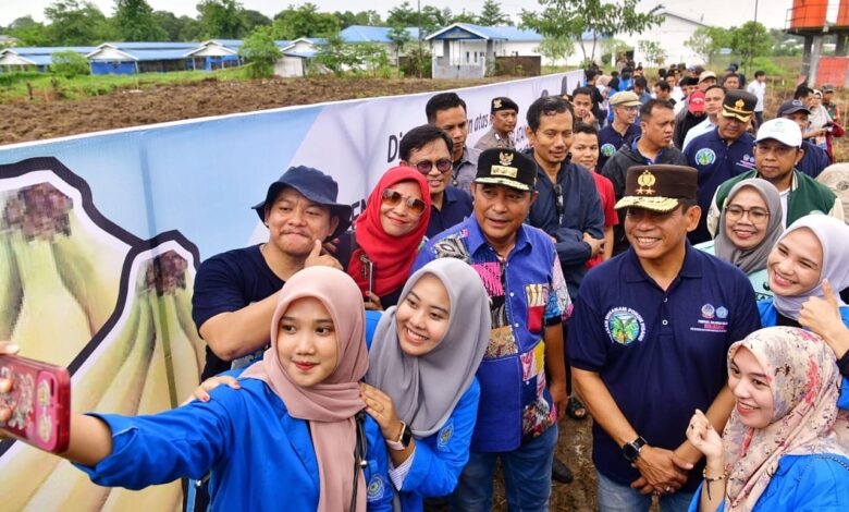 Hasil Menggiurkan, Mahasiswa Unismuh Semangat Tanam Pisang Cavendish