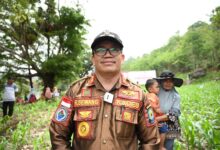 Kades Tanjonga Yakin Program Pj Gubernur Sulsel Dongkrak Pendapatan Petani