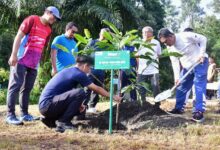 Terima Saran Pj Gubernur Sulsel, PT Vale Akan Tanam Sukun untuk Rehabilitasi Lahan Tambang