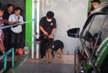 Gerebek Rumah Bandar Narkoba di Bone BNN Sulsel Turunkan Anjing Pelacak