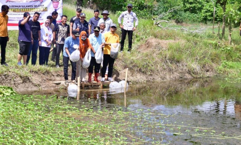 20 Ribu Bibit Ikan Nila Kembali Ditebar di Bone