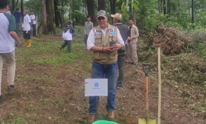 Gerakan Menanam Sejuta Pohon, DLH Bone Tanam 400 Tanaman Produktif