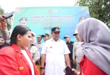 Mahasiswa Agroteknologi Unhas Ikut partisipasi Budidaya Sukun di Kota Palopo