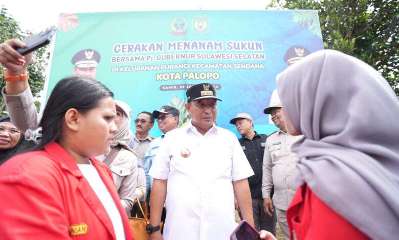 Mahasiswa Agroteknologi Unhas Ikut partisipasi Budidaya Sukun di Kota Palopo