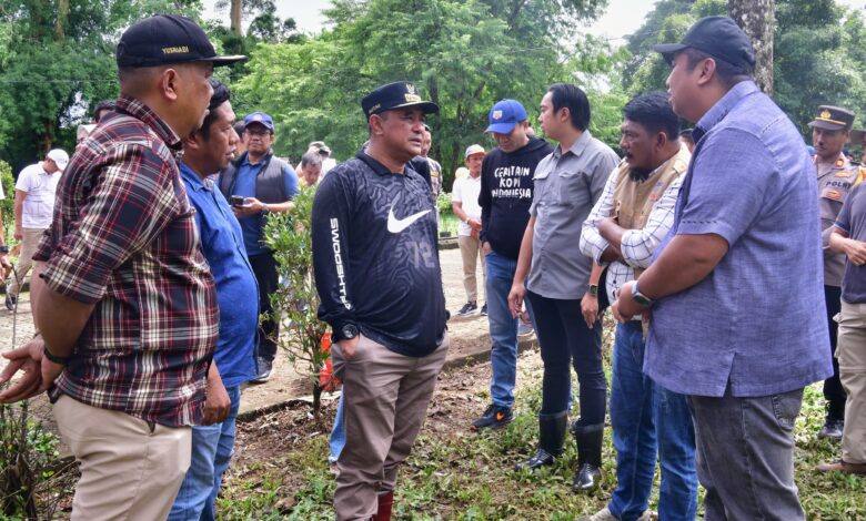 Mahasiswa Unsulbar Berkontribusi Tanam Sukun di Kawasan Pengembangan Peternakan Pucak Maros