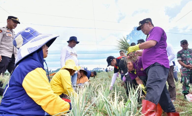 Petani Bawang Enrekang Antusias Bertemu Pj Gubernur Sulsel