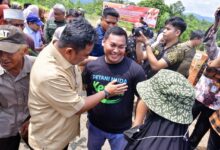 Menanam Bersama Pj Gubernur Sulsel, Petani Milenial Ikut Galakkan Budidaya Cavendish