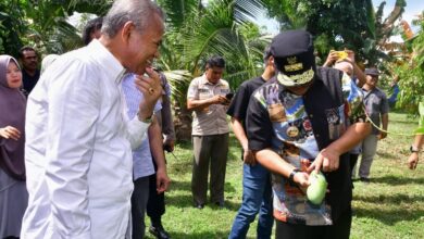 Bupati Luwu Diminta Bentuk Tim Sosialisasikan Cara Akses KUR