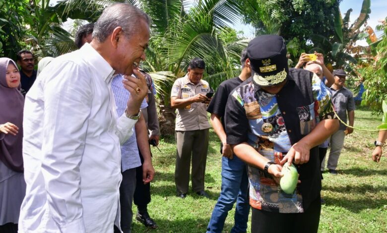 Bupati Luwu Diminta Bentuk Tim Sosialisasikan Cara Akses KUR