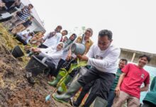 Melalui Program Hortikultura, Pj Gubernur Sulsel Dorong Ekonomi Hijau di Parepare