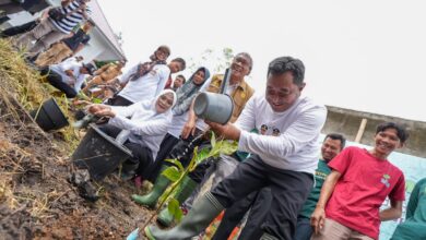 Melalui Program Hortikultura, Pj Gubernur Sulsel Dorong Ekonomi Hijau di Parepare