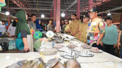 Pj Gubernur Sulsel Minta TPID Stabilkan Harga Sejumlah Komoditas Pangan di Malili