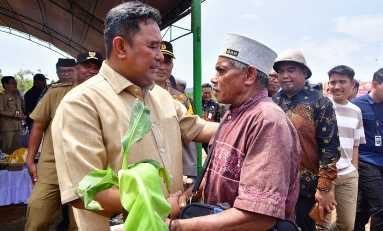 Tanam Perdana Pisang Cavendish di Lutim, Petani Terharu Terima Bantuan Bibit
