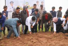 Pj Gubernur Sulsel Ikut Tanam Kentang Bersama Petani Tinggimoncong