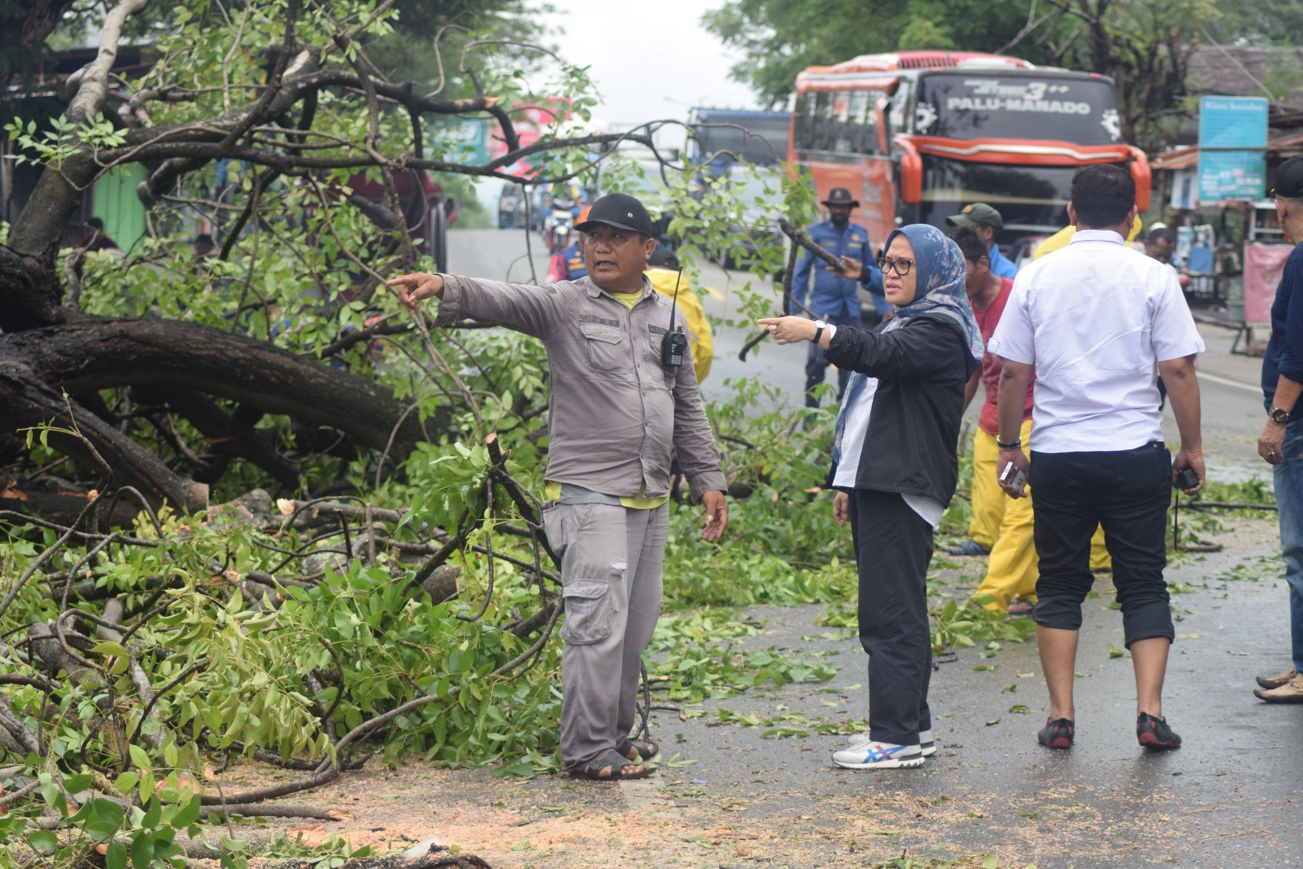 Sekda Irmayanti Bersama DLH Kota Palu Tinjau Lokasi Pohon Tumbang