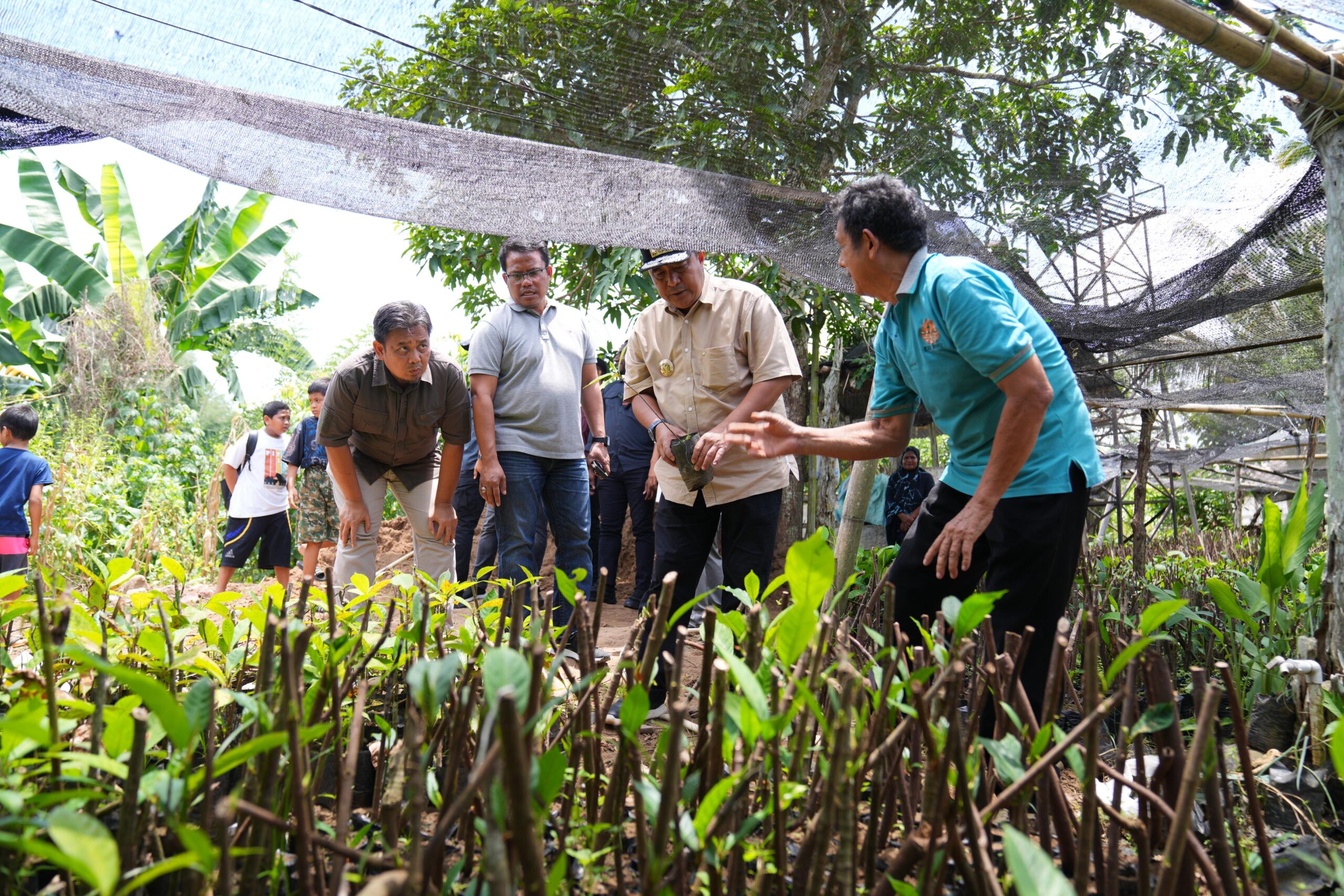 Pj Gubernur Sulsel Cek Lokasi Pembibitan Sukun Inisiasi Kelompok Tani Desa Samaenre
