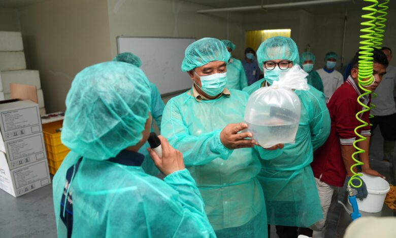 Pemprov Sulsel - PT Bomar Kembangkan Benur Udang untuk Warga Pesisir