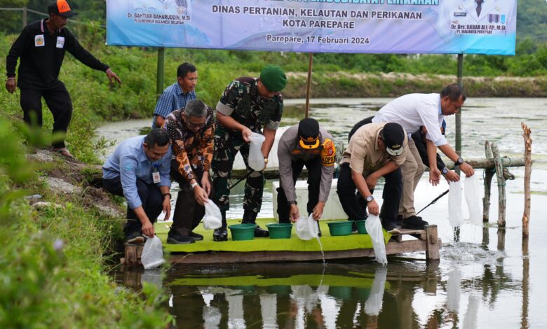 Tiba di Parepare, Pj Gubernur Sulsel Tebar Benih Udang Vaname dan Tanam Pisang Cavendish