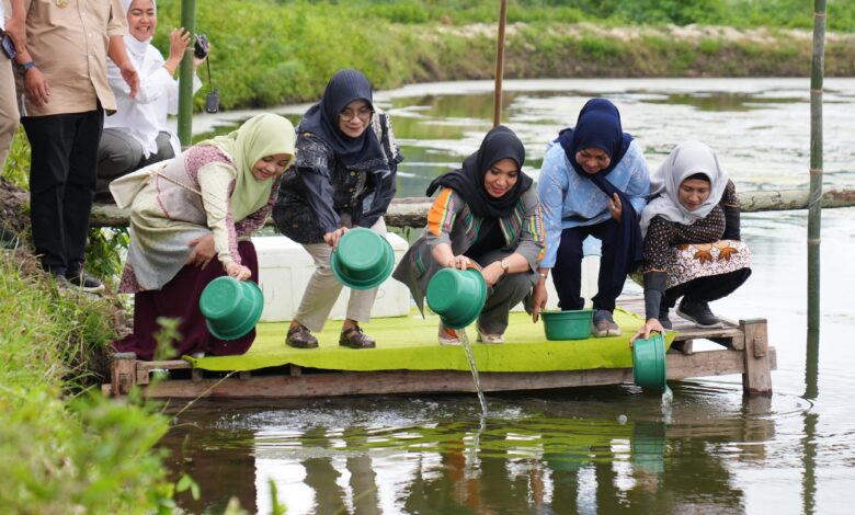 Pj Ketua PKK Sulsel Tebar Benur Udang Vaname dan Tanam Pisang Cavendish di Kota Parepare