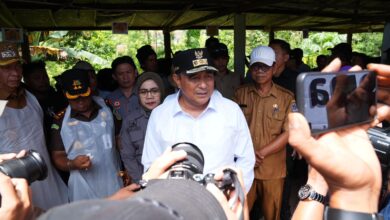 Melalui Inseminasi Buatan, Pj Gubernur Sulsel Target Enrekang Jadi Sentral Sapi Perah