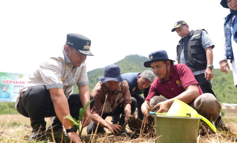Pj Gubernur Sulsel Tanam Sukun Usai Serahkan Bantuan Darurat dan Logistik Longsor di Kabupaten Luwu