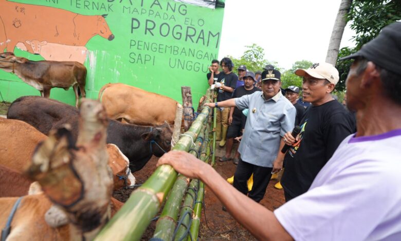 Inseminasi Buatan Jadi Harapan Baru Peternak Bulukumba untuk Tingkatkan Produksi Sapi