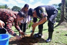 Selain Ikan Bandeng, Pangkep Diharapkan Jadi Penghasil Nangka Madu