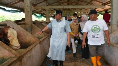 Di Pinrang, Pj Gubernur Sulsel Kunjungi Bangsal Pascapanen, Tebar Benih Ikan dan Inseminasi Buatan