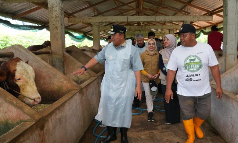 Di Pinrang, Pj Gubernur Sulsel Kunjungi Bangsal Pascapanen, Tebar Benih Ikan dan Inseminasi Buatan