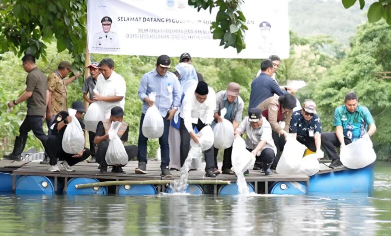 200 Ribu Benih Ikan Nila Ditebar di Barru
