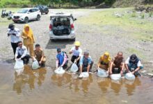 600 Ribu Benih Ikan Kembali Ditebar di Kabupaten Bone