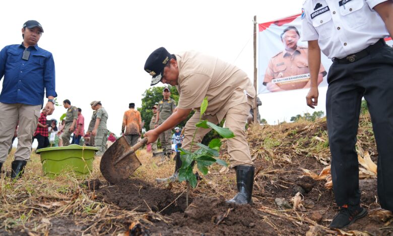 Dorong Skala Industri, Pj Gubernur Bahtiar Galakkan Penanaman 2 Juta Pohon Nangka Madu di Sulsel