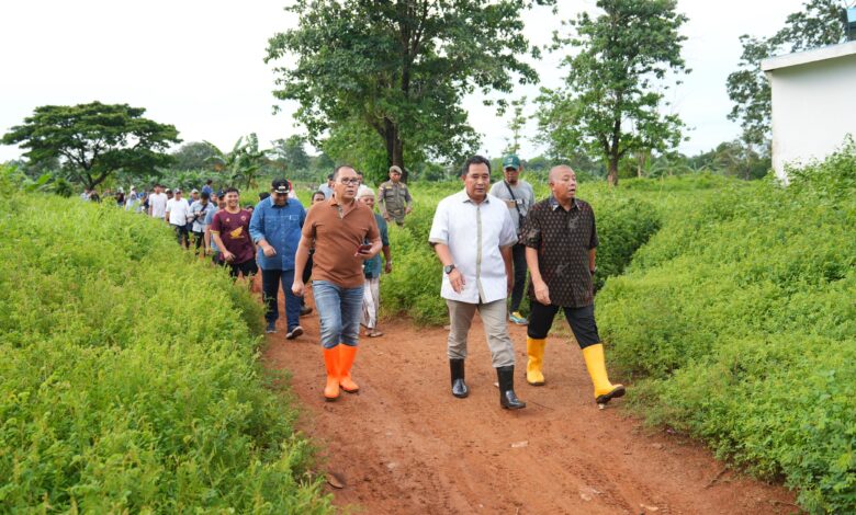 Pj Gubernur, Wali Kota Makassar dan Bupati Maros Kompak Tinjau Lokasi Lahan Stadion di Makassar