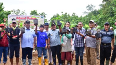 Upaya Pj Gubernur Bahtiar Lestarikan Kawasan Rammang-rammang, Tanam Sukun Hingga Tebar Benih Ikan