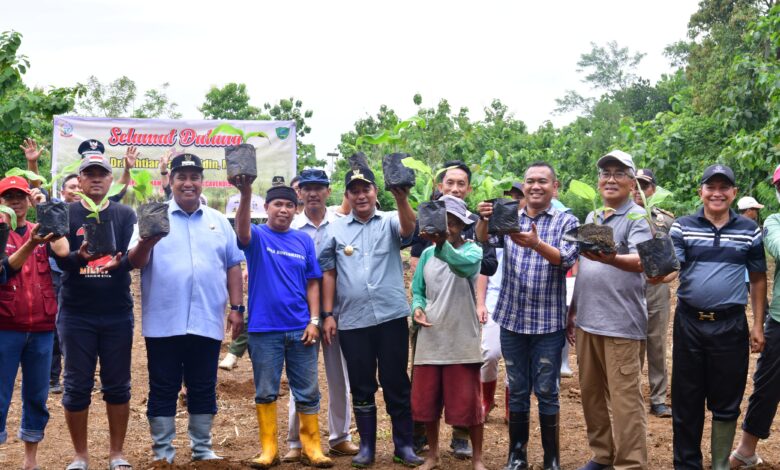 Upaya Pj Gubernur Bahtiar Lestarikan Kawasan Rammang-rammang, Tanam Sukun Hingga Tebar Benih Ikan