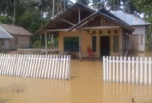Banjir dan Tanah Longsor Landa 4 Kecamatan dan 13 Desa di Buol Sulteng