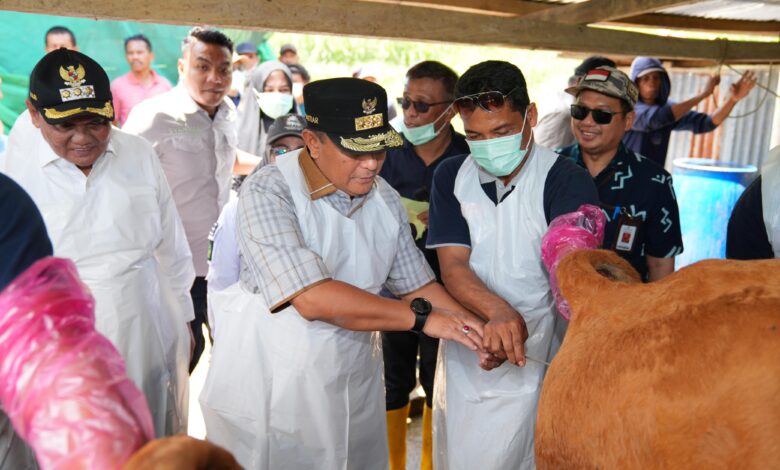 Melalui Inseminasi Buatan, Pj Gubernur Sulsel Dorong Peternak Jadi Pengusaha Ternak