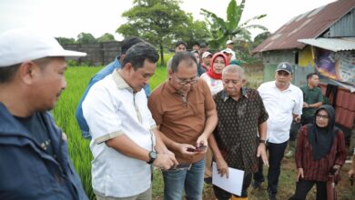 Danny Pomanto Tegaskan Pemkot Makassar Siapkan Anggaran untuk Akses Jalan Stadion