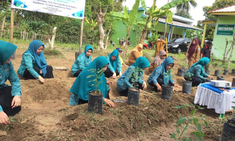 TP PKK Gowa Tanam 150 Bibit Cabai, Upaya Menekan Laju Inflasi