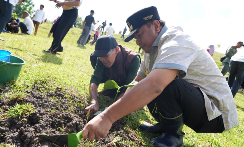 50 Ribu Bibit Akan Dibagikan pada Launching Sedekah Pohon Sekaligus Buka Puasa Akbar di Bone