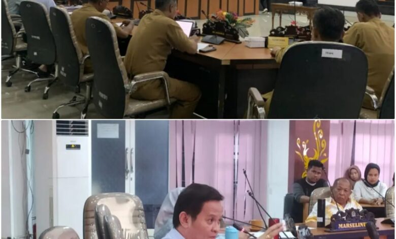 Jadi Sorotan Dewan, Sektor Pajak Parkir Tepi Jalan Hanya Menyumbang Rp1,2 Miliar PAD Kota Palu dari Target Rp5,5 M