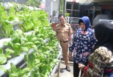 Ketua TP PKK Kota Makassar dan Kadis Ketapang Tinjau Lorong Wisata di Dua Kecamatan