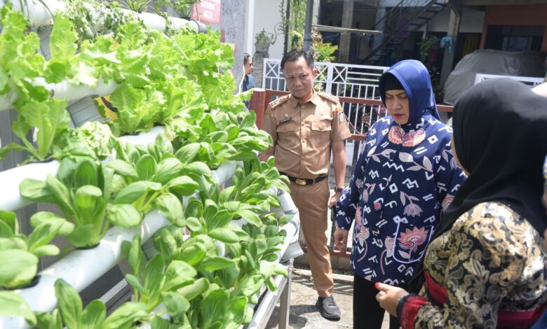 Ketua TP PKK Kota Makassar dan Kadis Ketapang Tinjau Lorong Wisata di Dua Kecamatan