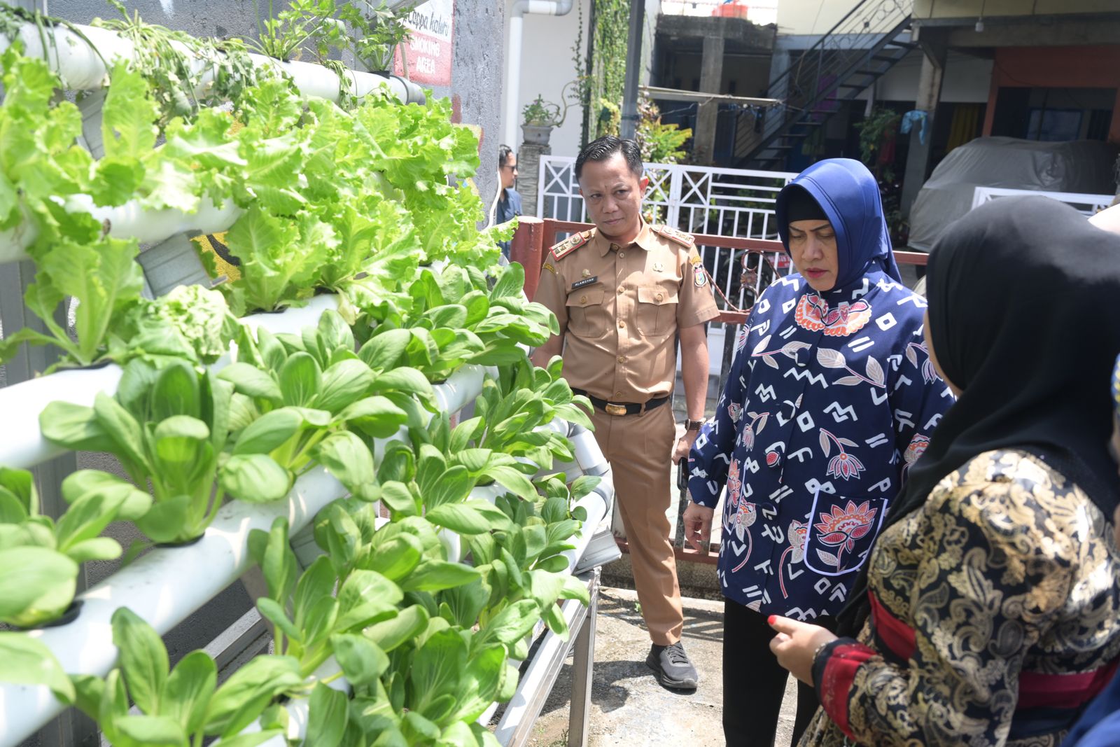 Ketua TP PKK Kota Makassar dan Kadis Ketapang Tinjau Lorong Wisata di Dua Kecamatan