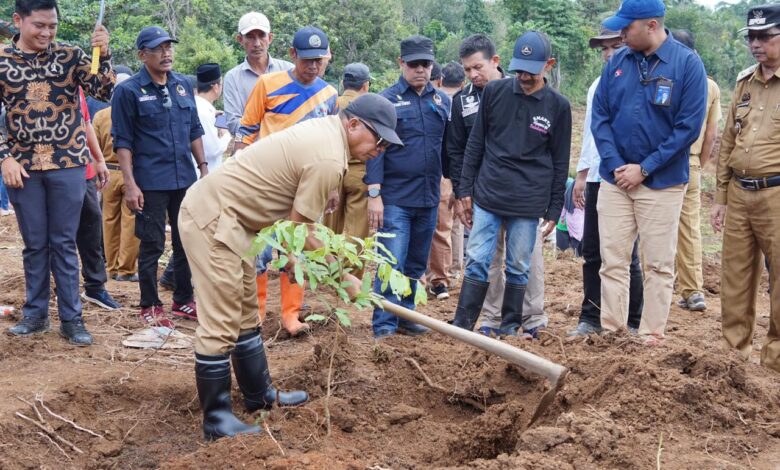 Peringati Hari Bumi, Bupati Andi Utta Tanam Pohon Produktif