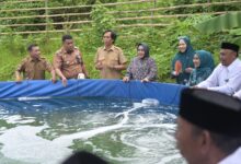 Ketua TP PKK Kota Makassar Tebar Benih Udang Vaname di Tanjung Merdeka