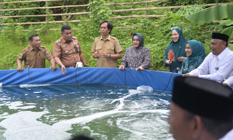 Ketua TP PKK Kota Makassar Tebar Benih Udang Vaname di Tanjung Merdeka